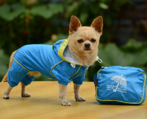 PILOTO CON ESTUCHE T. XS