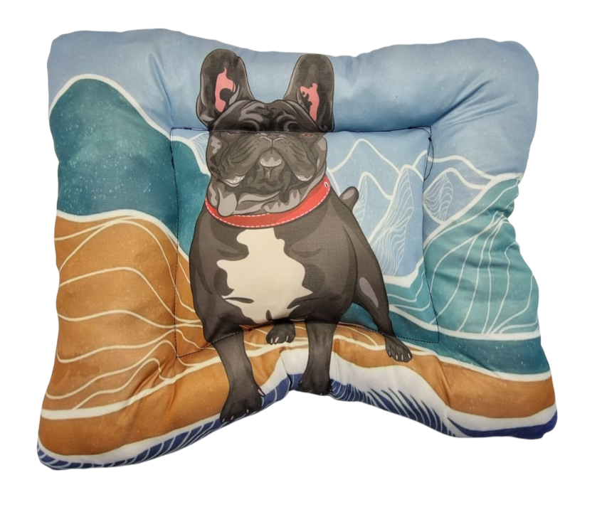 COLCHONETAS PERSONAJES (50x60)