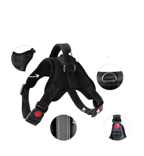 ARNES ACOLCHADO PET DOG L (70-90 cm)