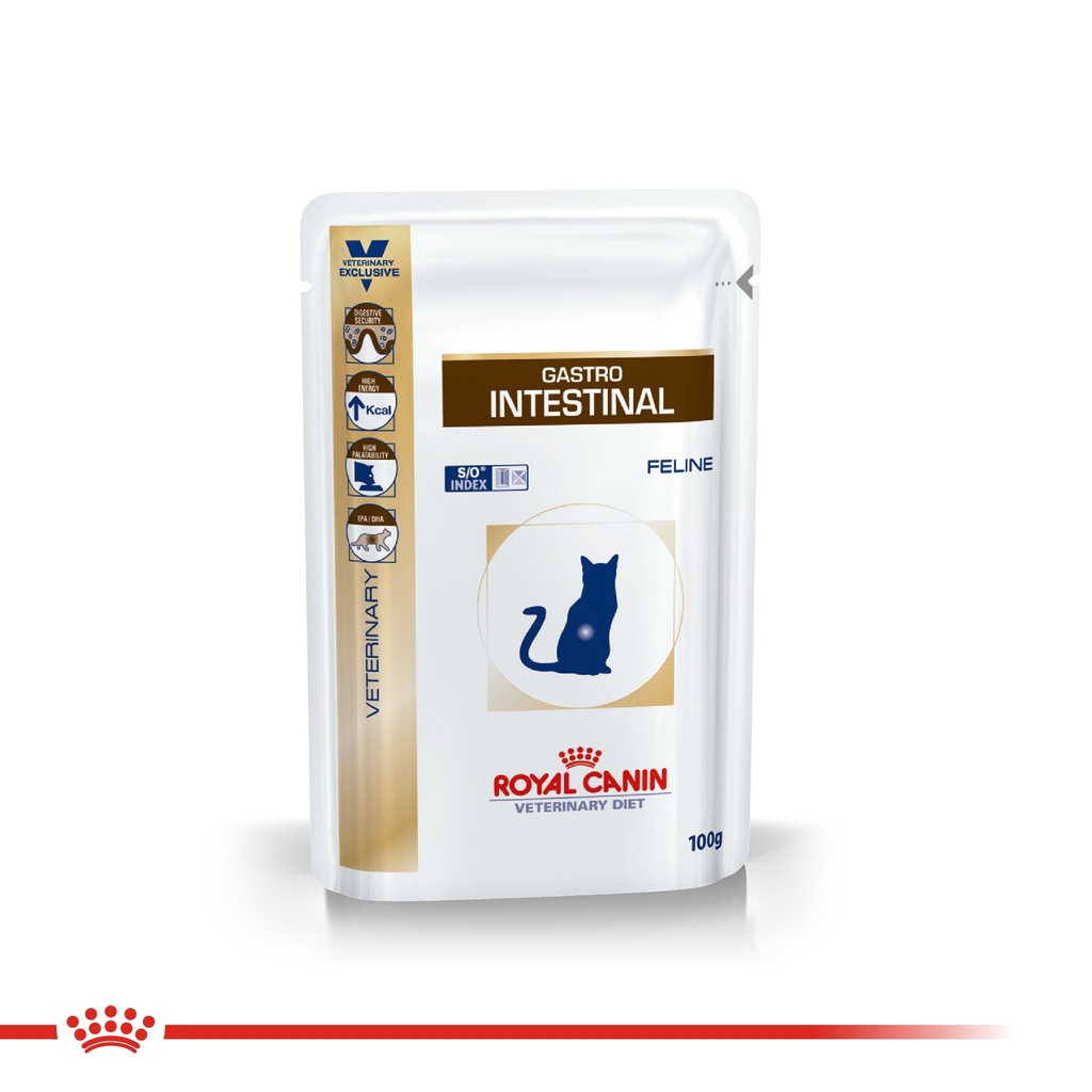 POUCH RC (CAT) GASTROINTESTINAL